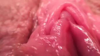 Intimate Pussy Close-Up On Webcam