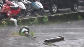 Tubuh Indah Teman Polio-Nya