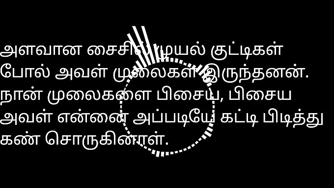 Mies Ja Nainen Uudessa Avioliitossa - Tamil-Seksitarina Äänellä